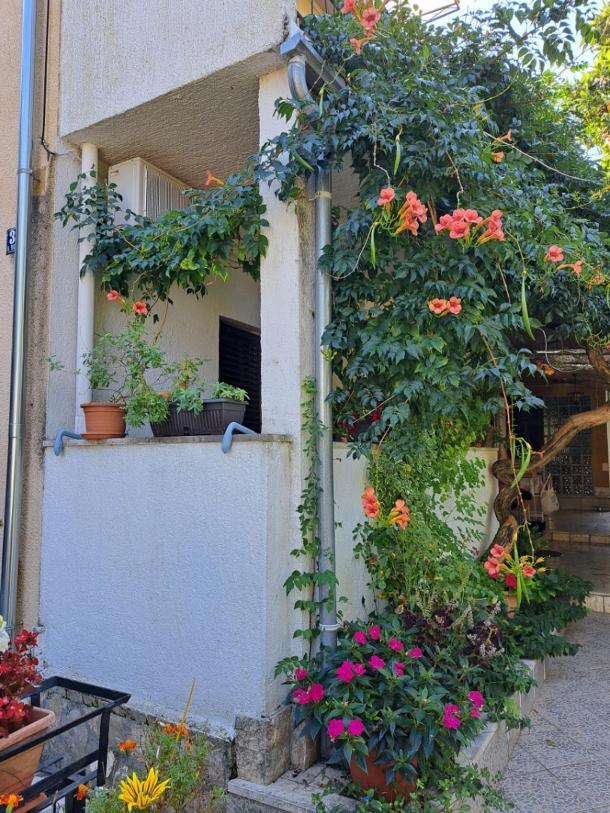 Accomodation Mirjana Rooms Poreč Exterior foto
